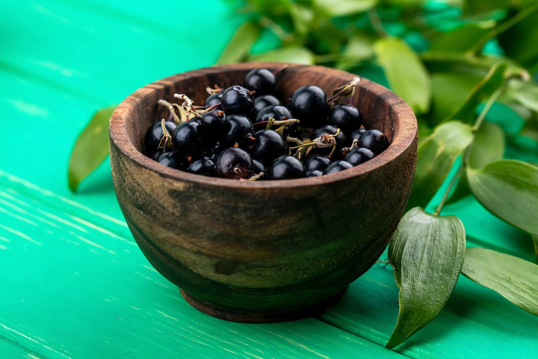 Boost Your Immunity with Nature’s Shield: Echinacea and Elderberry Power Blend