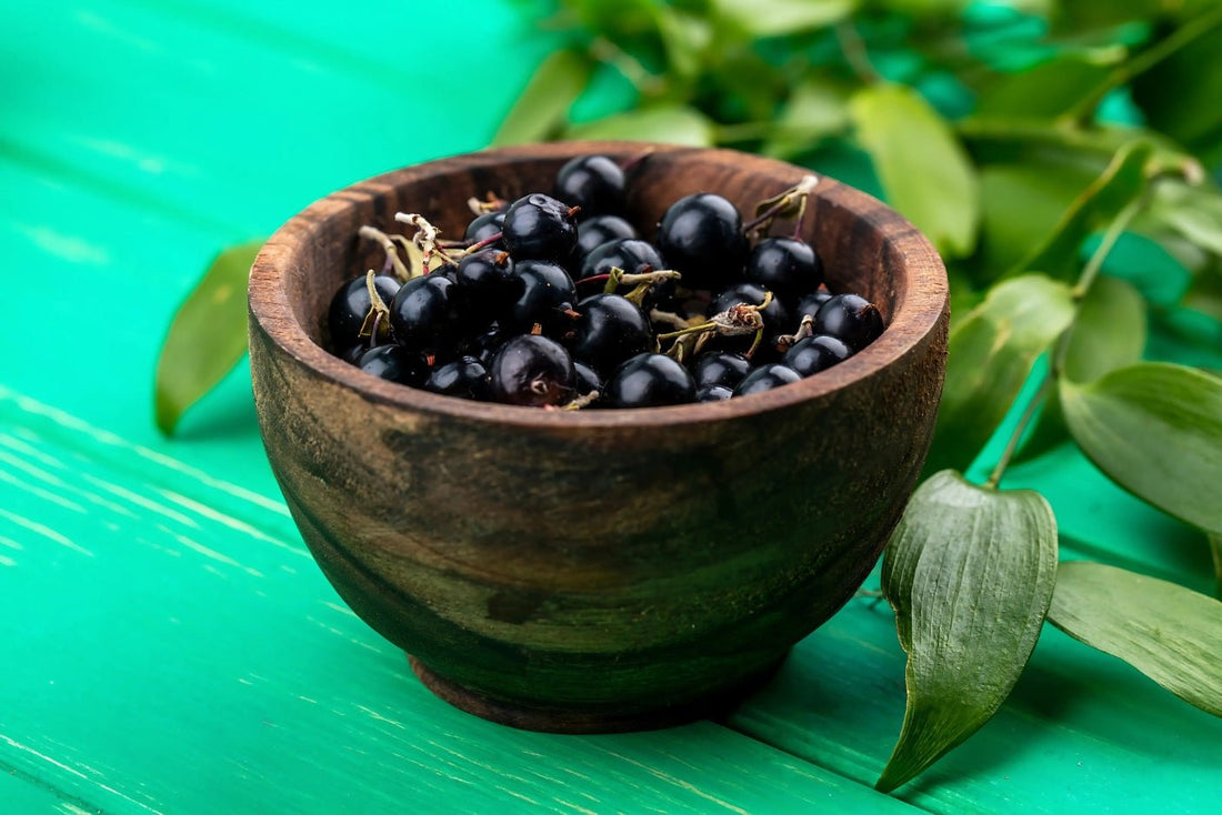 Boost Your Immunity with Nature’s Shield: Echinacea and Elderberry Power Blend - Zenith Ritual