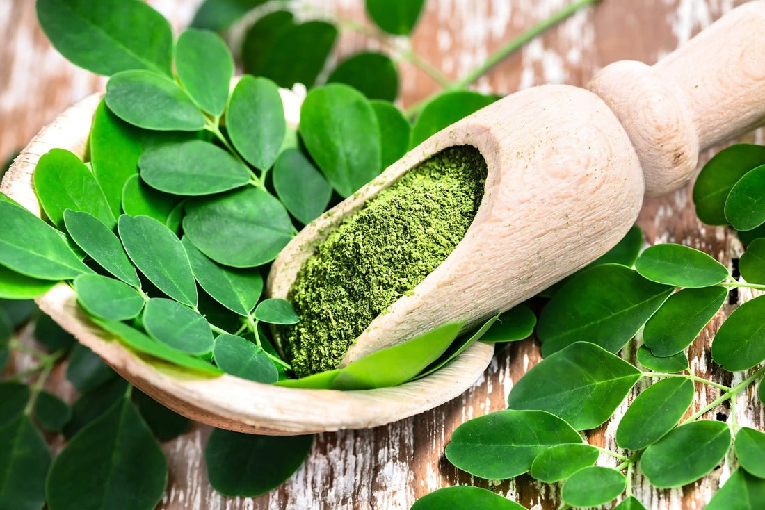 Discover the Power of Zenith Ritual: The Perfect Blend of Shilajit and Moringa for Optimal Well-Being - Zenith Ritual