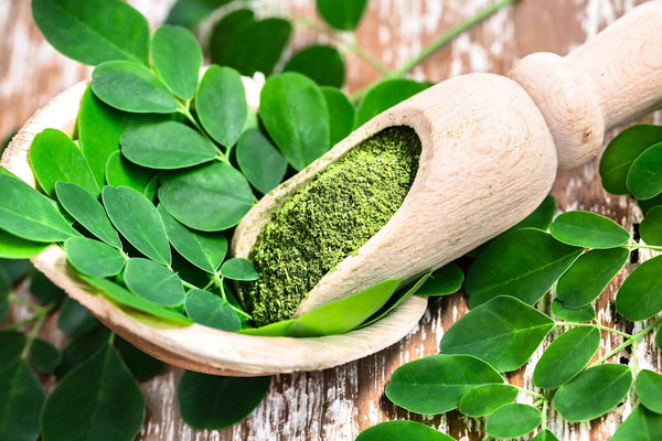Discover the Power of Zenith Ritual: The Perfect Blend of Shilajit and Moringa for Optimal Well-Being
