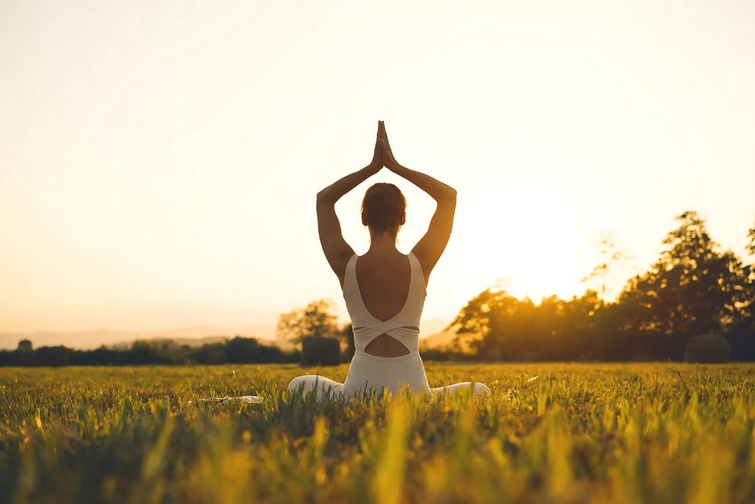 Elevate Your Wellness with Gaia’s Essence: The Power of Turmeric and Ginger - Zenith Ritual