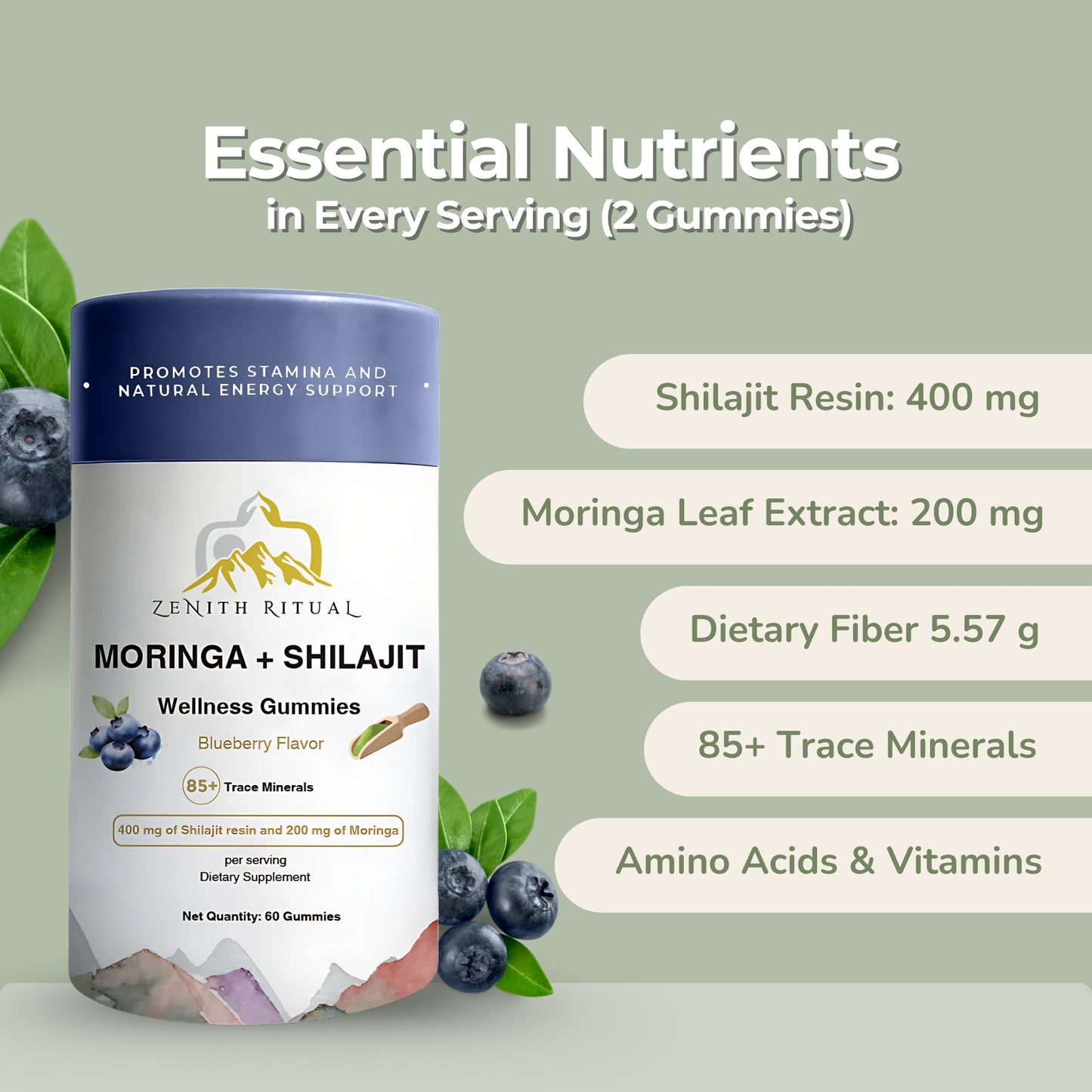 Shilajit & Moringa Gummies – Blueberry Flavor - 60 Gummies - Dietary supplements