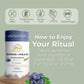 Moringa + Shilajit Wellness Gummies | Blueberry Flavored