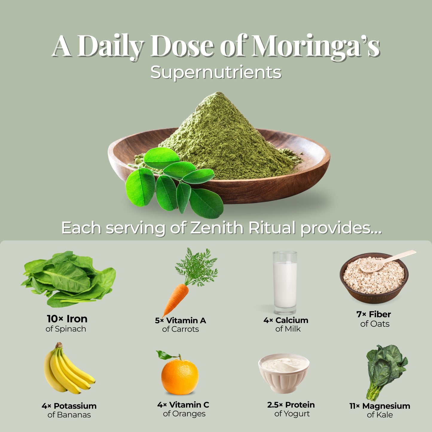 Shilajit & Moringa Gummies – Blueberry Flavor - 60 Gummies - Dietary supplements