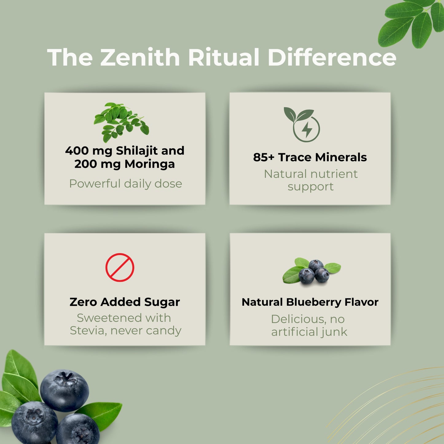 Moringa + Shilajit Wellness Gummies | Blueberry Flavored