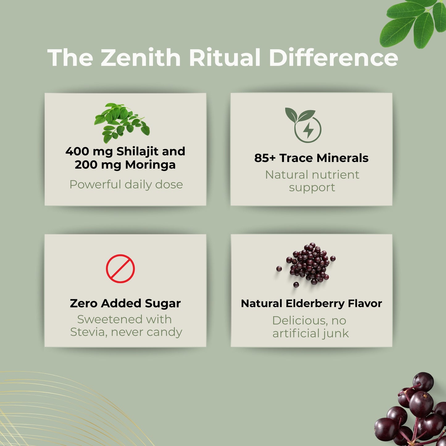 Pure Himalayan Shilajit & Moringa Gummies