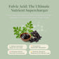 Shilajit & Moringa Gummies – Blueberry Flavor - 60 Gummies - Dietary supplements