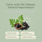 Moringa + Shilajit Wellness Gummies | Blueberry Flavored