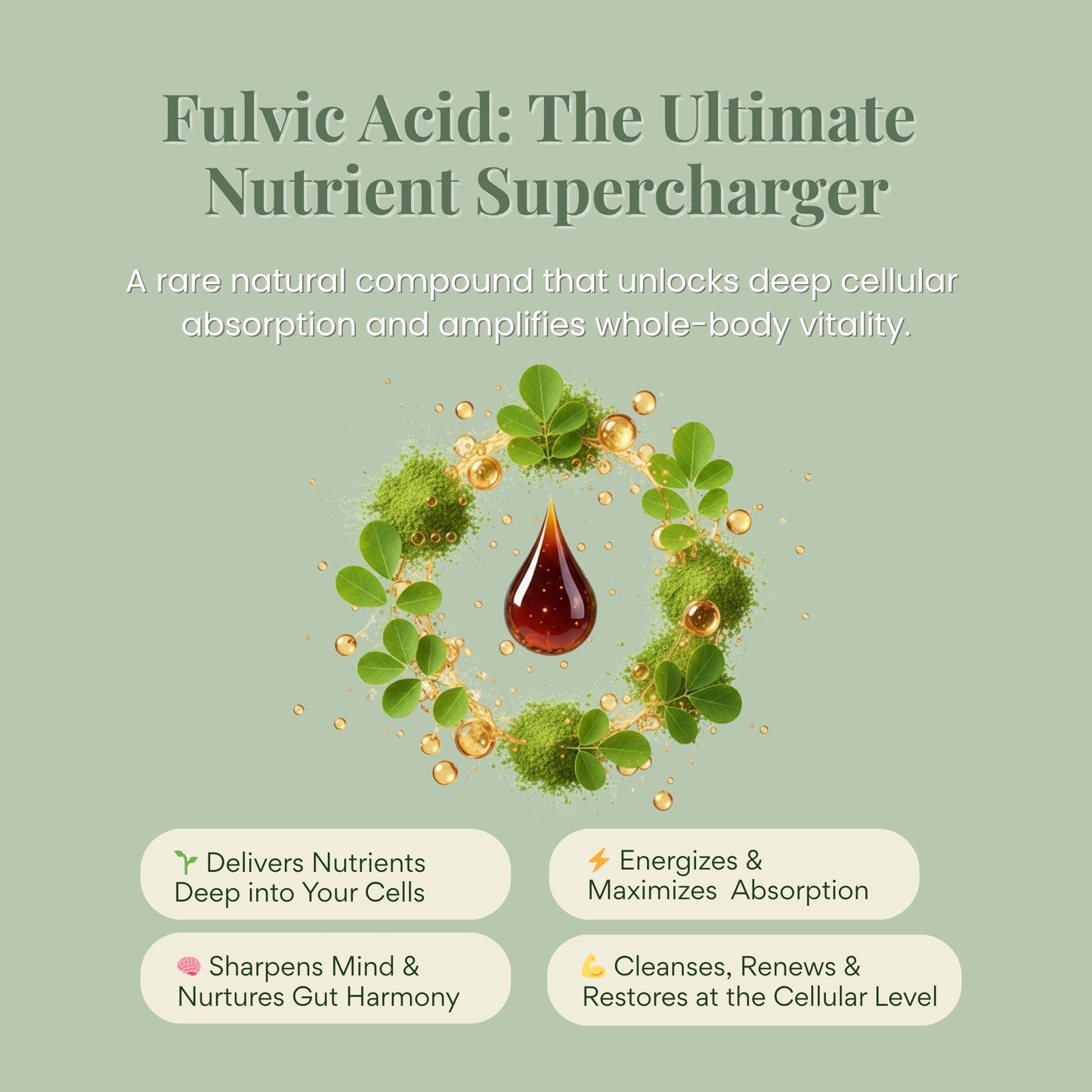 Pure Himalayan Shilajit & Moringa Gummies – Blueberry Flavor | Dietary Supplement