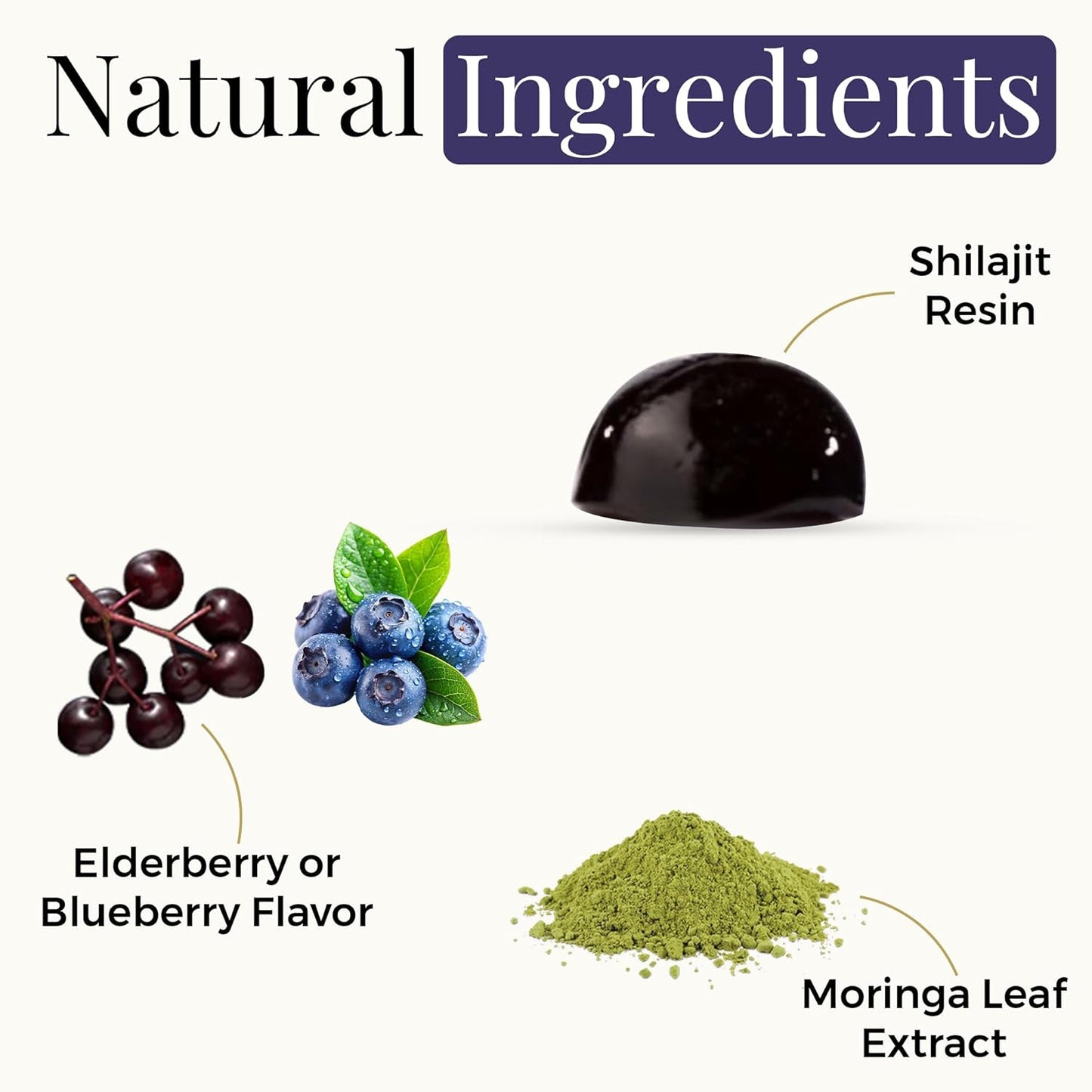Shilajit & Moringa Gummies 2-Pack Bundle – Elderberry & Blueberry – Dietary Supplement