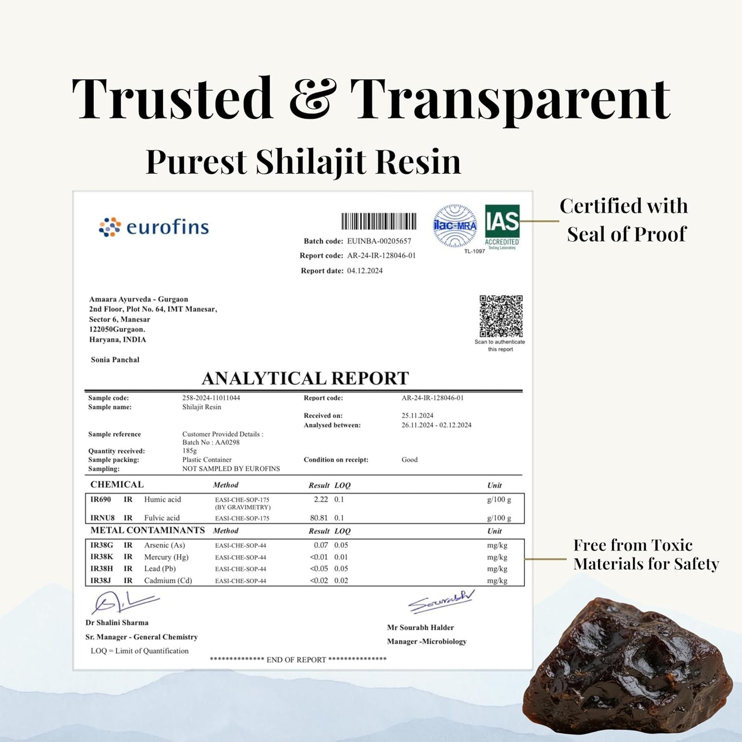 Pure Himalayan Shilajit & Moringa Gummies – Elderberry Flavor - 60 Gummies - dietary supplements