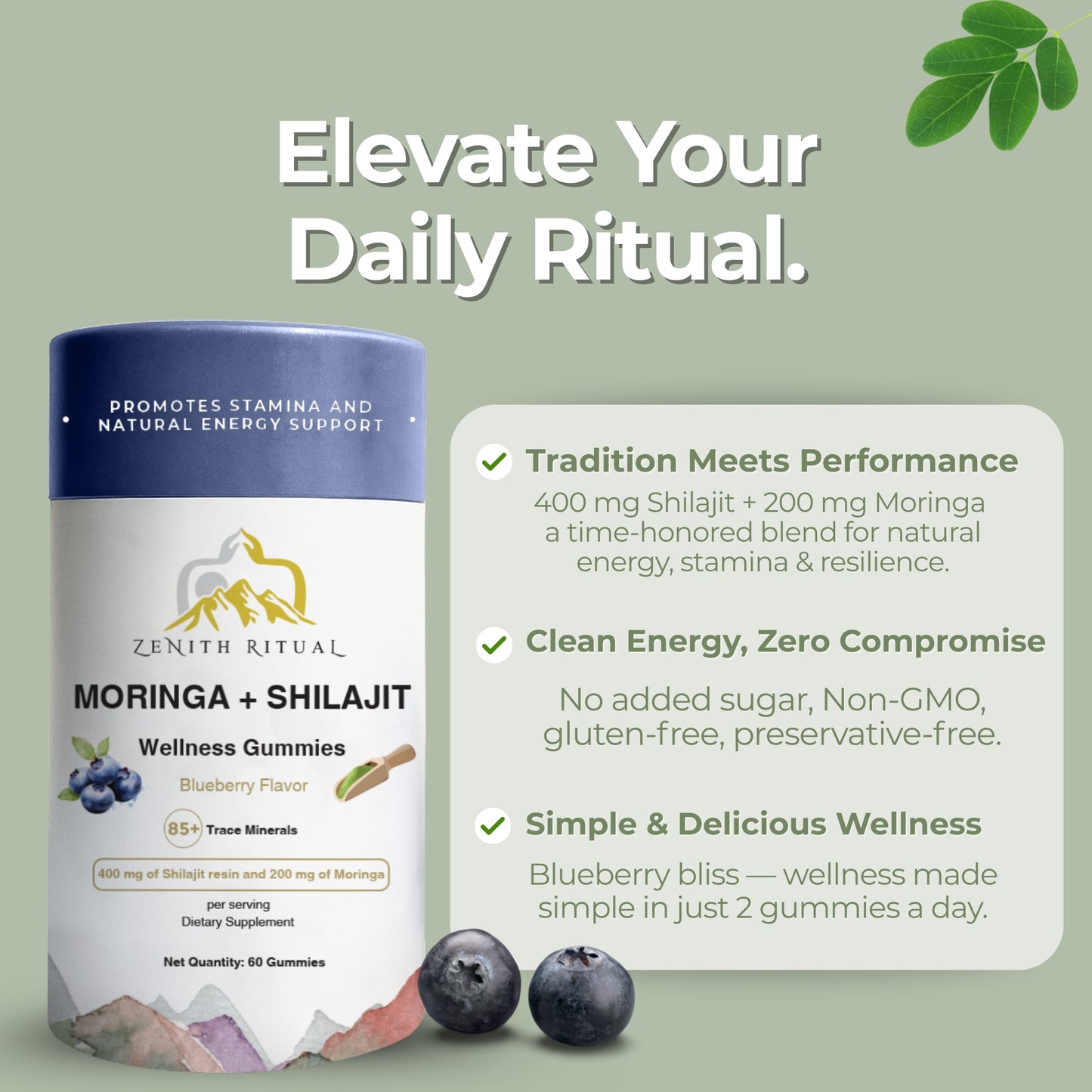 Moringa + Shilajit Wellness Gummies | Blueberry Flavored