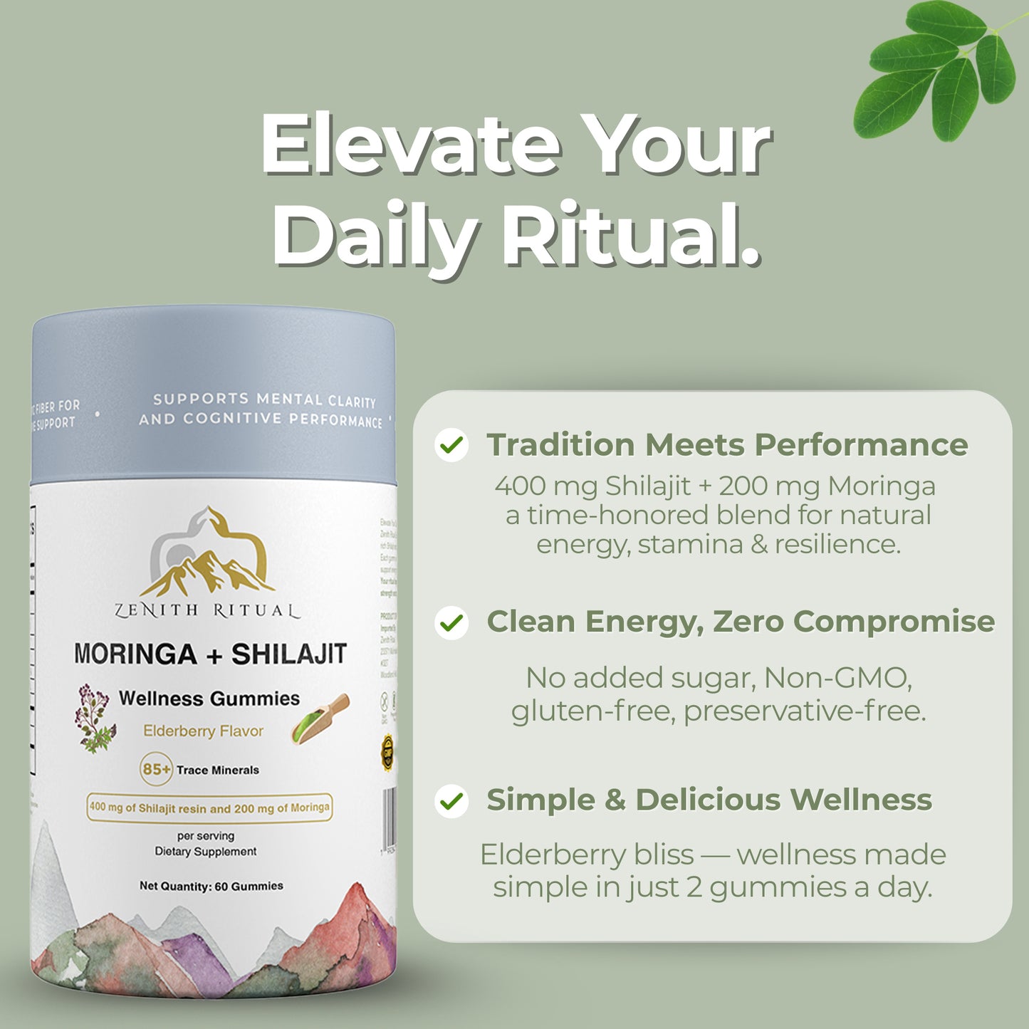 Test Product Shilajit & Moringa Gummies 2-Pack Bundle