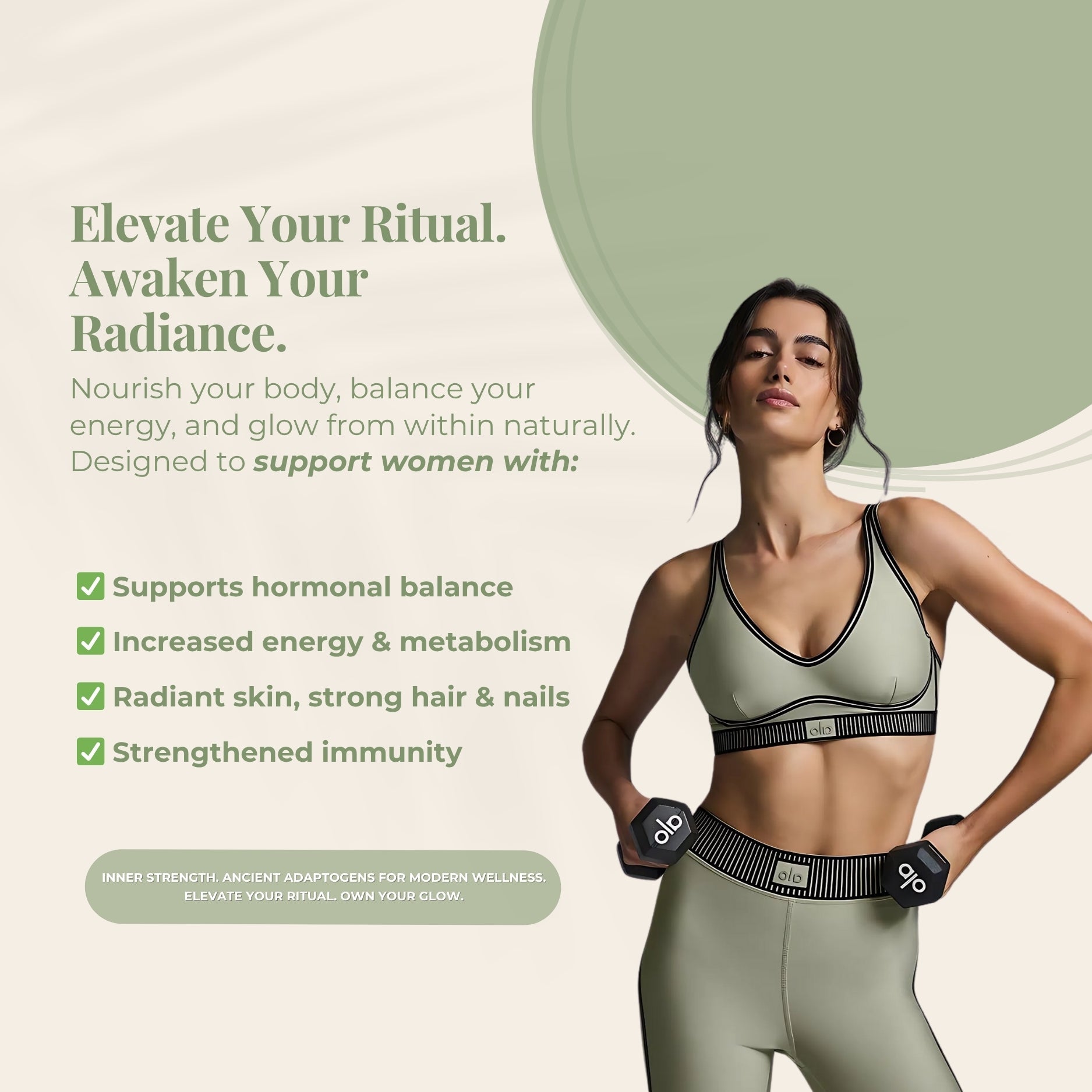 Pure Himalayan Shilajit & Moringa Gummies – Elderberry Flavor - 60 Gummies - Dietary supplements - Zenith Ritual