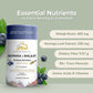 Shilajit & Moringa Gummies – Blueberry Flavor - 60 Gummies - Dietary supplements - Zenith Ritual